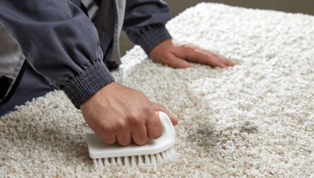 Professional Rug Cleaning Menzies Creek